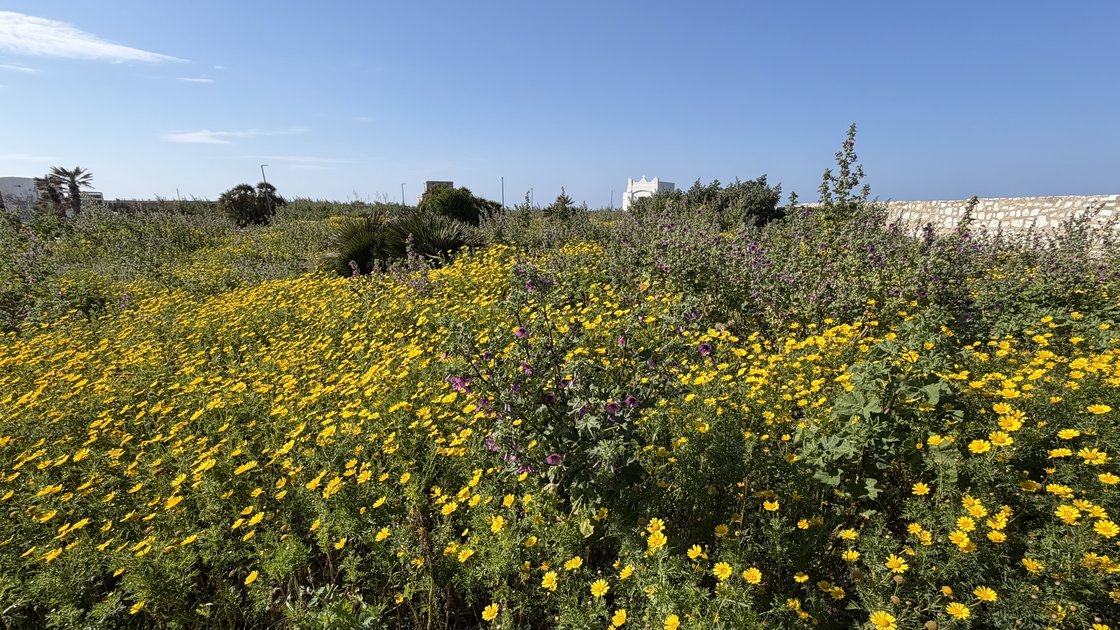 BACK WHERE IT ALL BEGAN