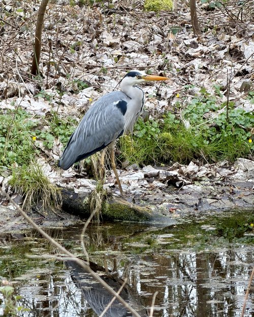 We encountered this guy along the way.