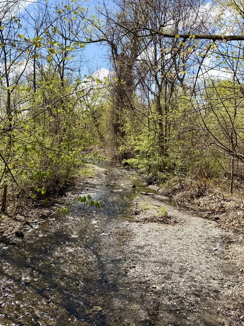 Some sure signs of spring around Penn Yan