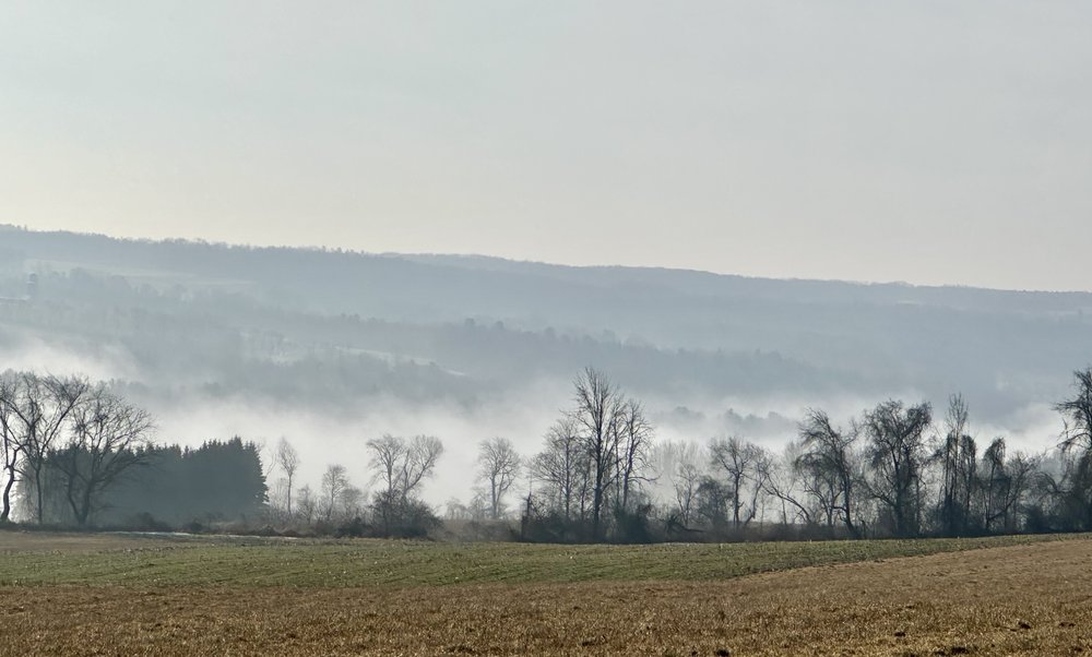 The ride in was cold and steam rose from the ground as the temperatures have gone from one extrem...