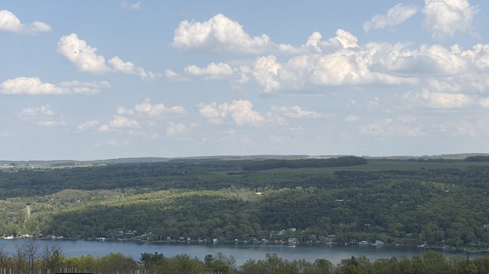View from Dr. Konstantin Frank wine tasting room.