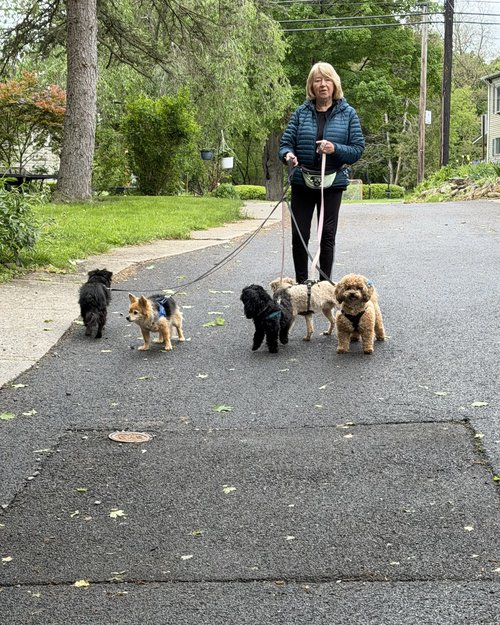 June is also vacation month which means Julie will be doing a lot of dog sitting for our daughter...