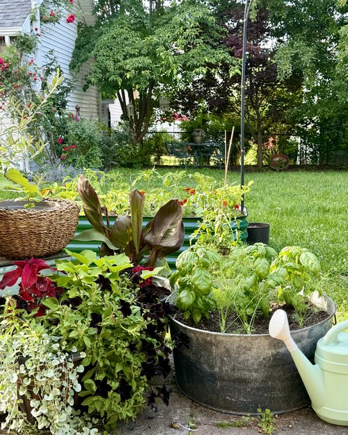 I’m certainly not&nbsp;the only gardener in the family. My daughter Kara’s backyard is a virtual ...