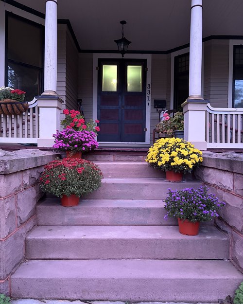 Julie has the steps to our house decorated in flowers that are so autumnal in the nature&hellip;....