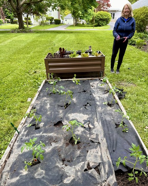 Julie in the garden…she’s my favorite tomato!