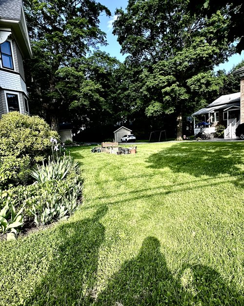Our shadows casts over our garden plots on the side yard of our house. The side yard was once the...
