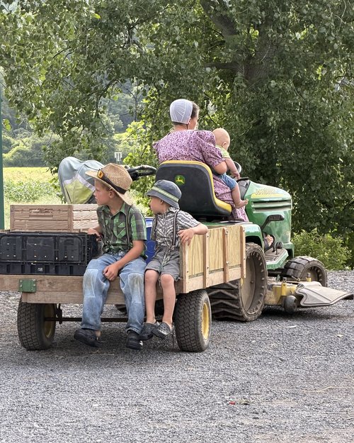 When the tractor is the babysitter