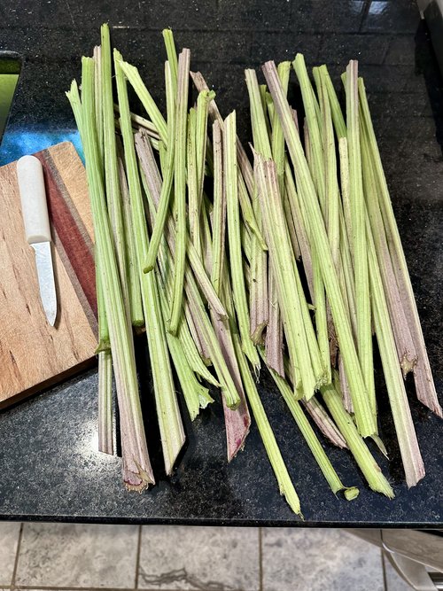 and with a huge amount of work, they ended up in the pot. Cardoons are actually part th...