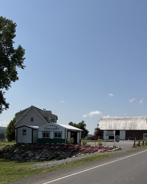 Just north of the Branchport side of the lake is Guyanoga Valley Farm store. They have a large gr...