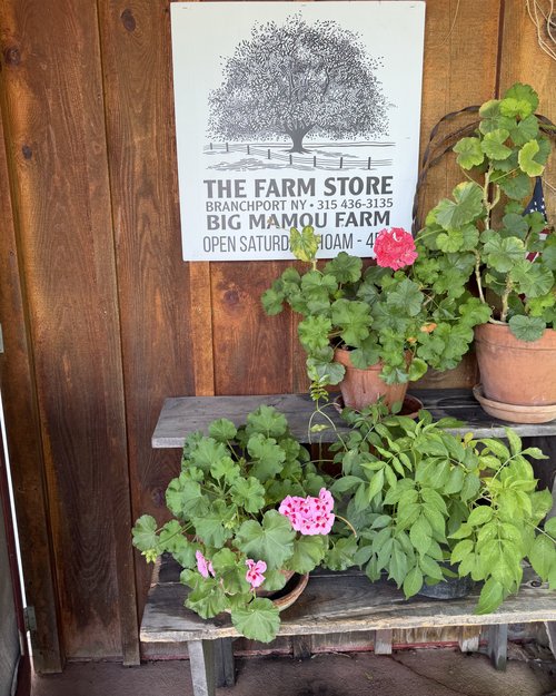 For carnivores there’s no better place than the Big Mamou Farm Store. It is only open on Saturday...