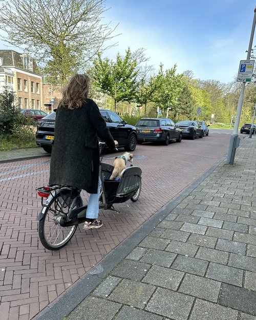 The Dutch way&hellip;