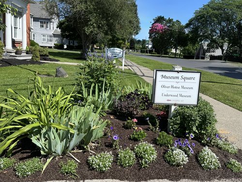 This is the little garden in front of the museum that Julie takes care of every year. She plans n...