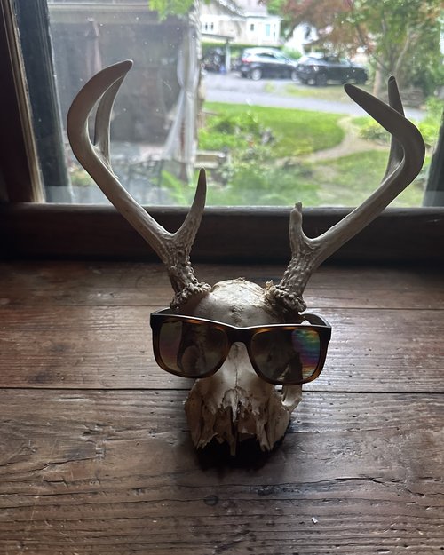I now have a sure fire way not to lose my sunglasses!