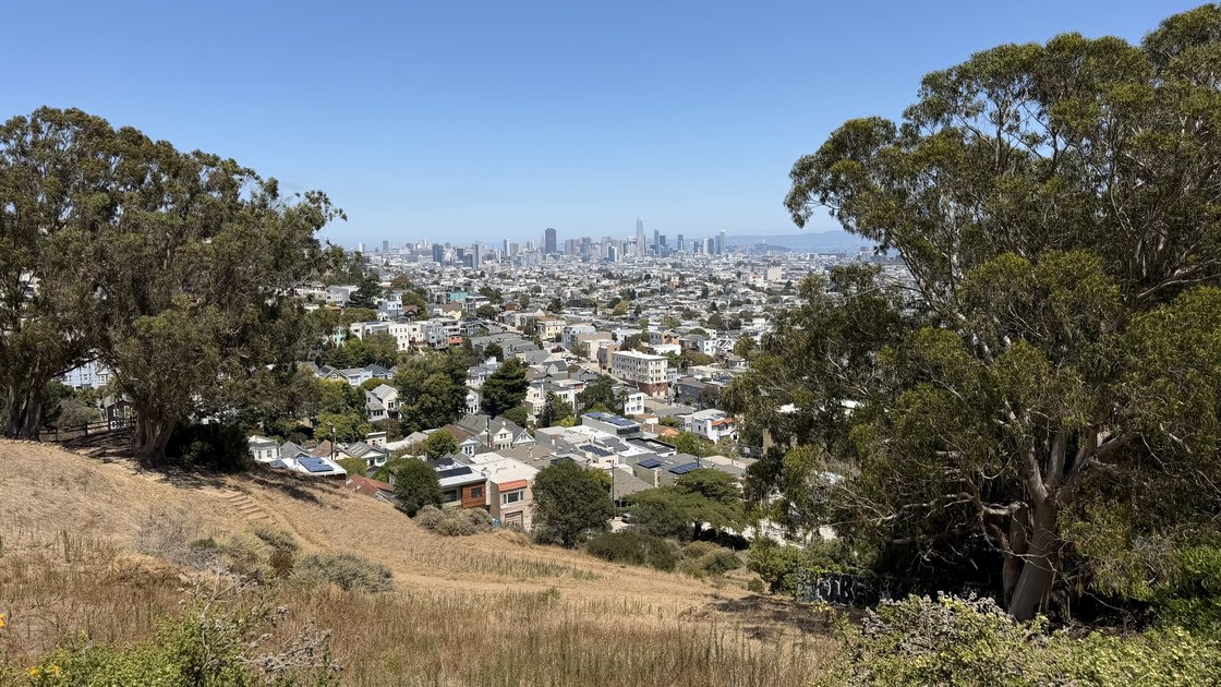SAN FRANCISCO, SUMMER OF ‘26