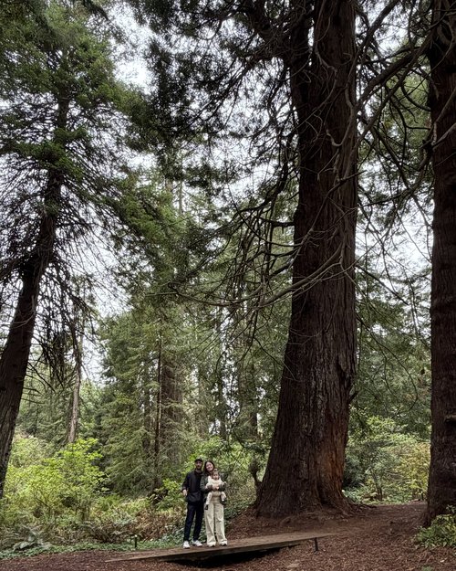 The Barocio family at a park amongst the giant trees.