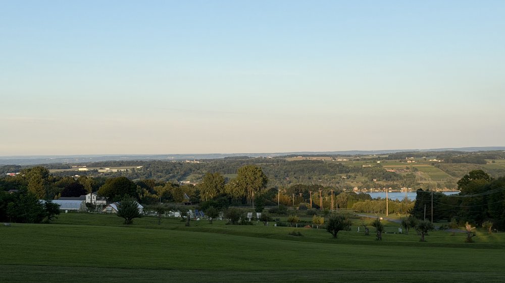 Home at last in the Finger Lakes&nbsp;