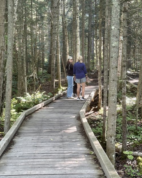 We took several hikes around the lake, well they hiked and I scooted!