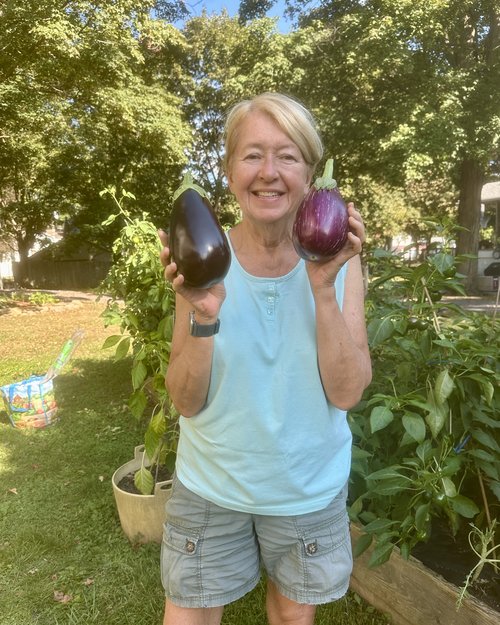 The Italian, melanzana or&nbsp;milinciana in Sicilian sounds so much more appealing than eggplant!