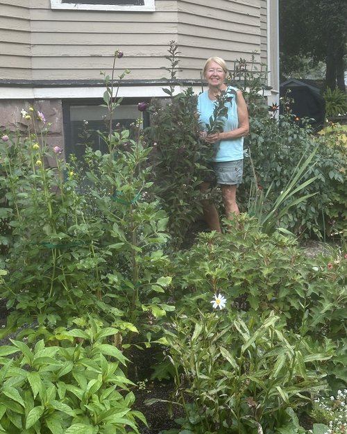 In addition to vegetables, Julie has done an amazing job with her flower garden. The dahlias are ...