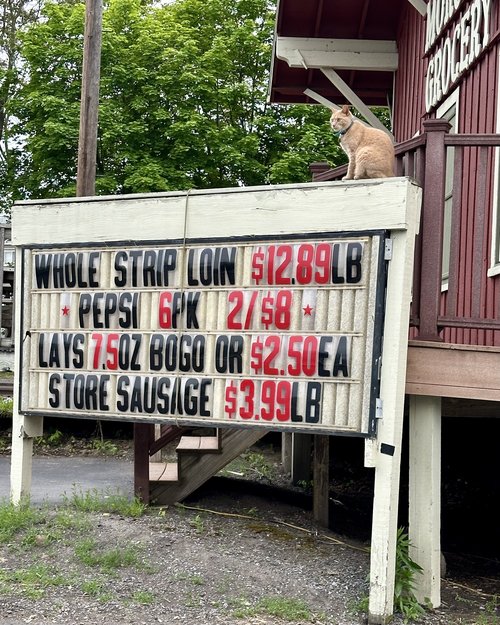 Morgan’s Grocery is a local treasure and this little guy will tell you all about it!