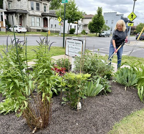 Julie has volunteered to take care of the small garden at the Penn Yan&nbsp;historical museum. It...