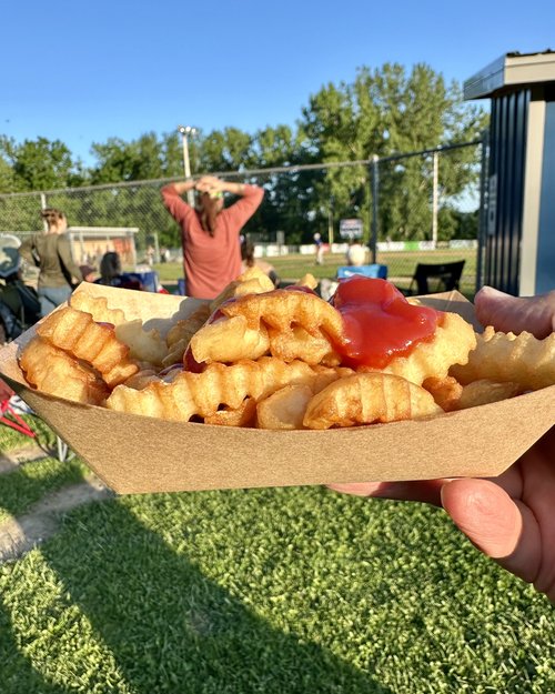 The hotdog was as good as these french fries but I gobbled it down before I could get a picture