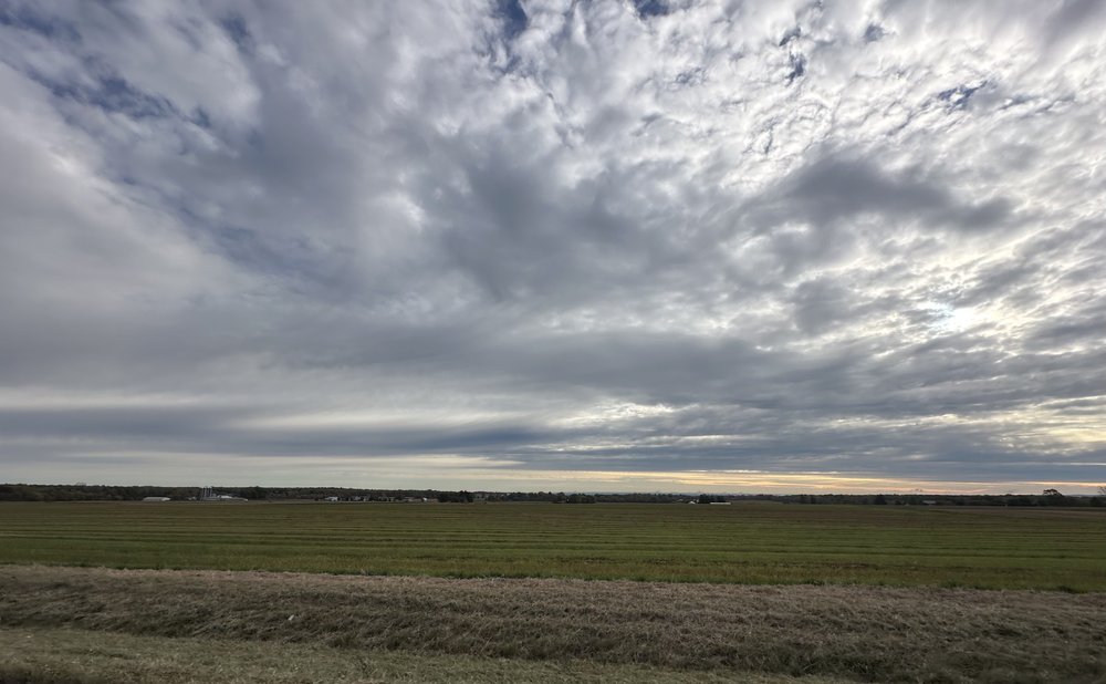 Finally, the rains are coming soon Autumn will be just a memory.