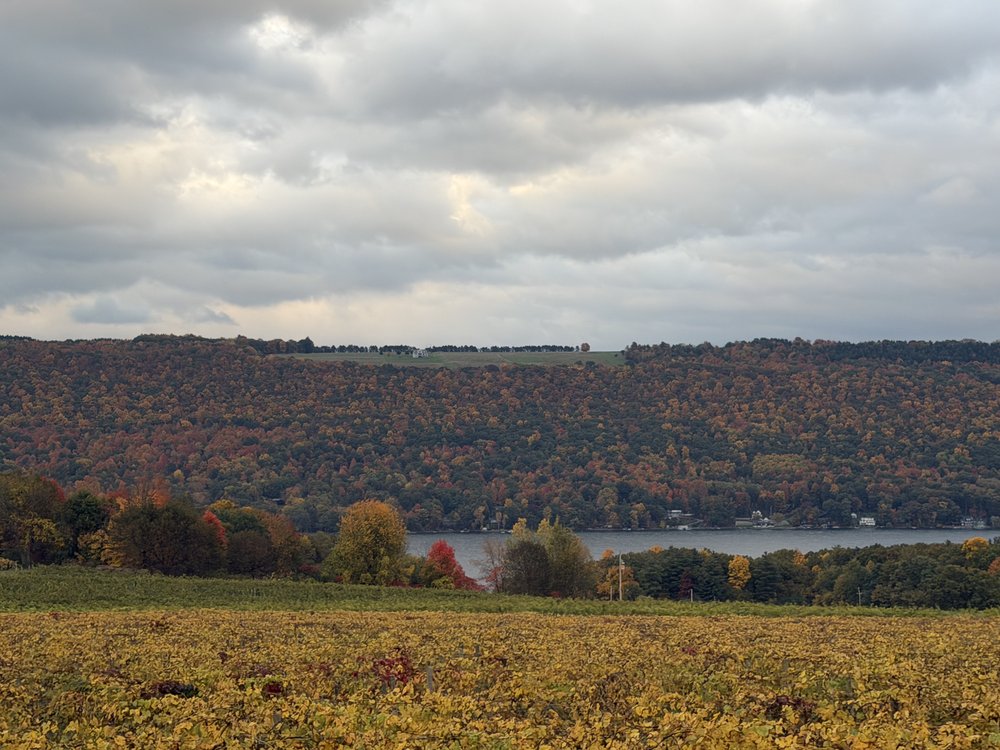 High above Keuka Lake&nbsp;