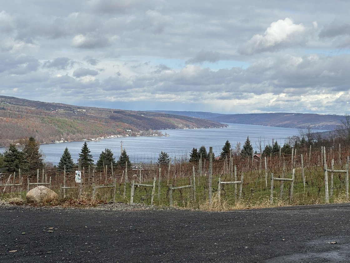 STILL STANDING STRONG