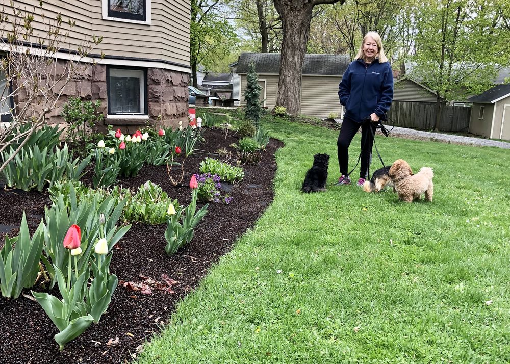 Julie, doggies and flowers&hellip;. that is spring in Penn Yan