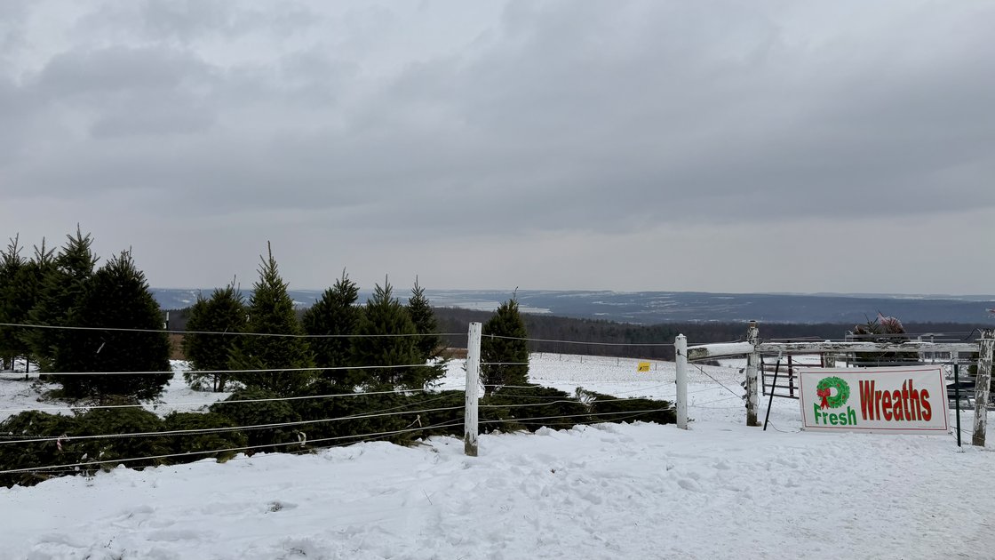 GETTING IN THE HOLIDAY SPIRIT