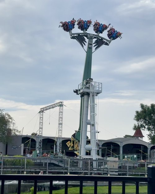 I pleasantly declined joining in on the rides at the park! Just watching this one, made me a litt...