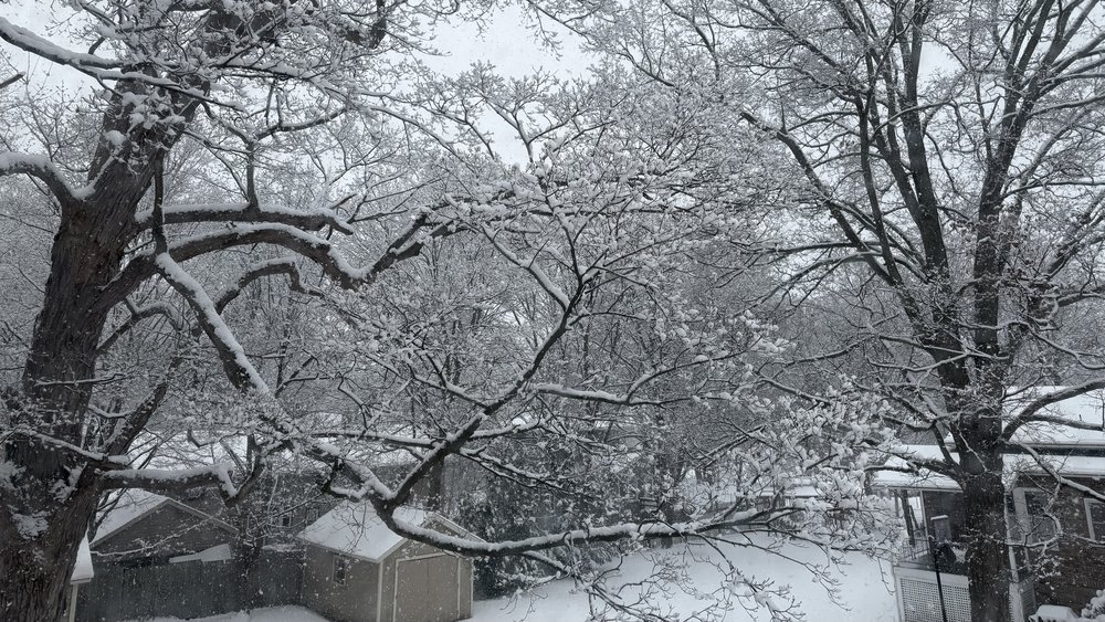 But I will not miss this part of living in New York State&hellip; the extreme cold has started to...