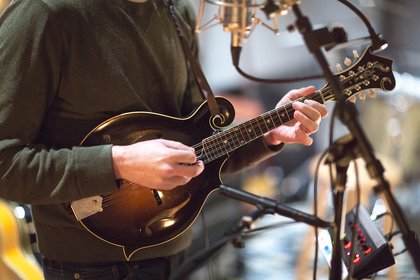 Mandolin Workshop