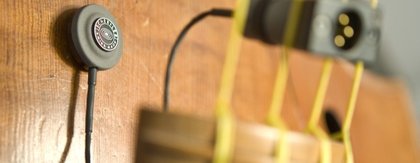 Schertler Bass
