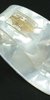 Golden Gate GP-6P Pearloid Thumb Pick - Large (SKU: XGP6) XGP6