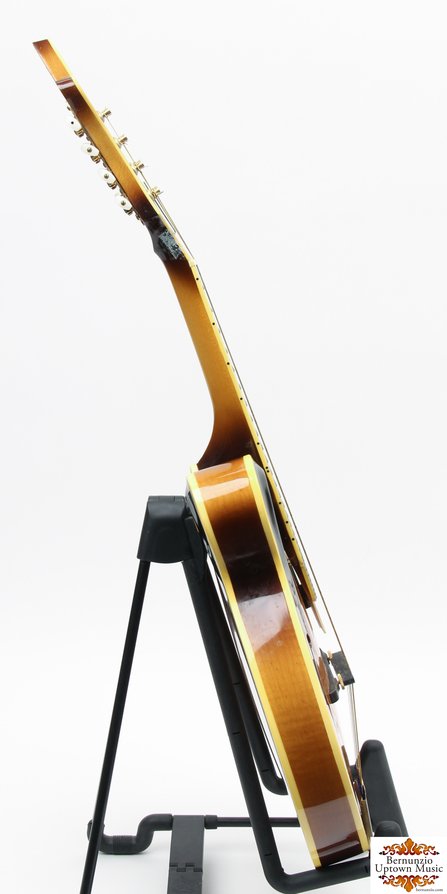 Alvarez F-Style Mandolin #3