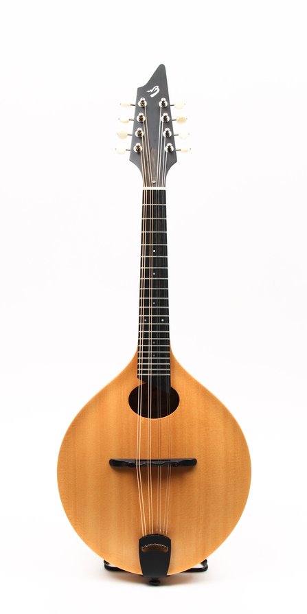 Breedlove American 00 #1