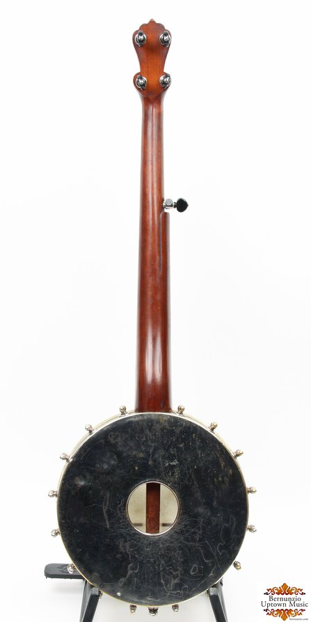 Buckbee  Fretless  #2