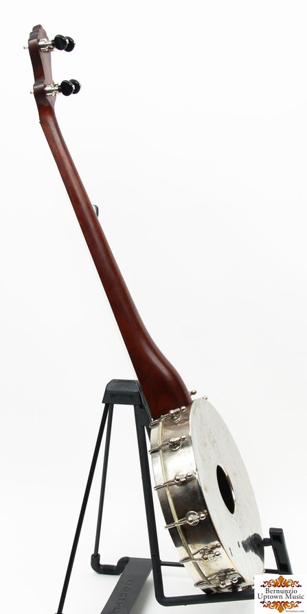 Buckbee  Fretless  #3
