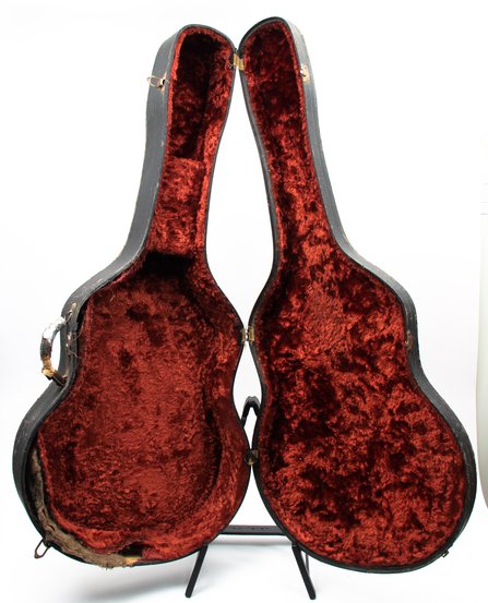 Case For 17" Archtop #2