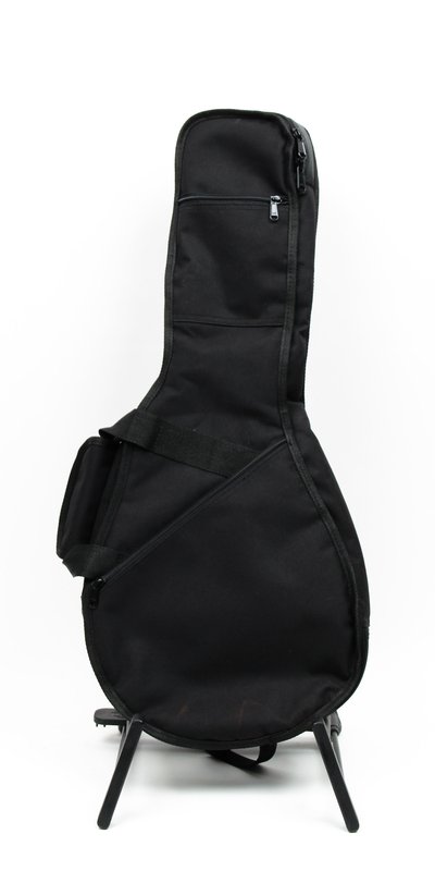 Eastman A/F Style Mandolin Gig Bag 18259