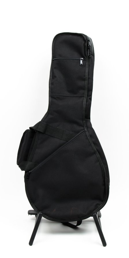 Eastman A/F Style Mandolin Gig Bag #1
