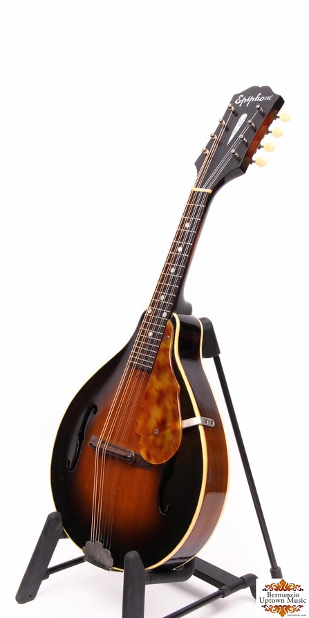 Epiphone  Rivoli  #3