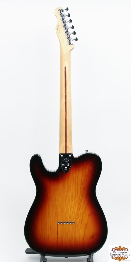 Fender Telecaster Thinline #2