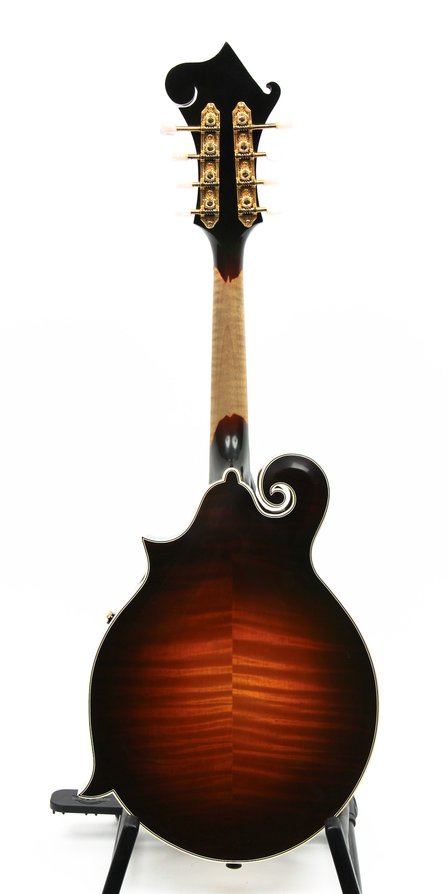 Gibson F-5 Fern #2