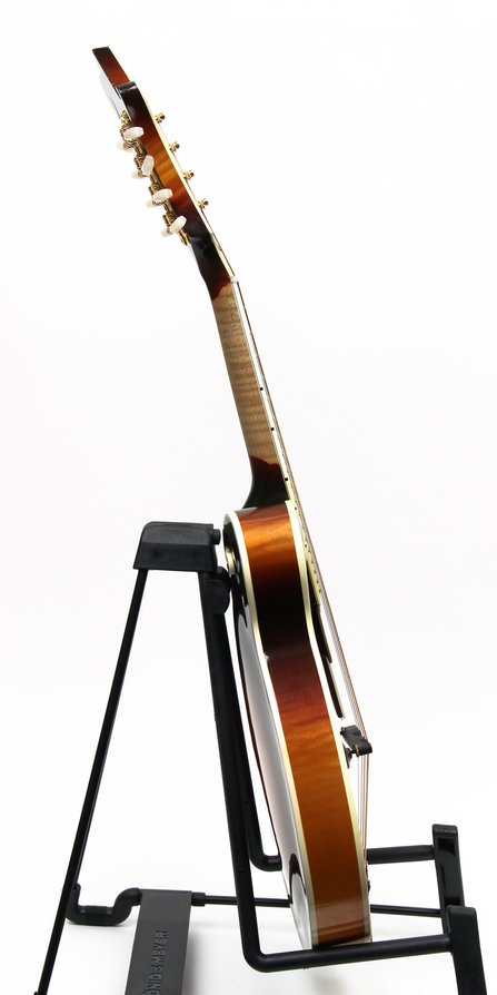Gibson F-5 Fern #3