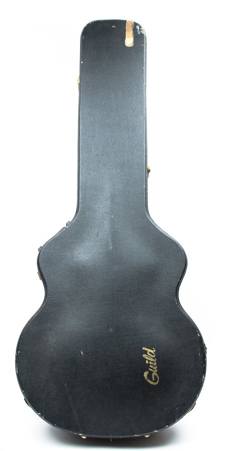 Guild Acoustic Bass Case #1
