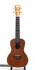 Kala KA-CG Concert Ukulele (SKU: 19486) 19486