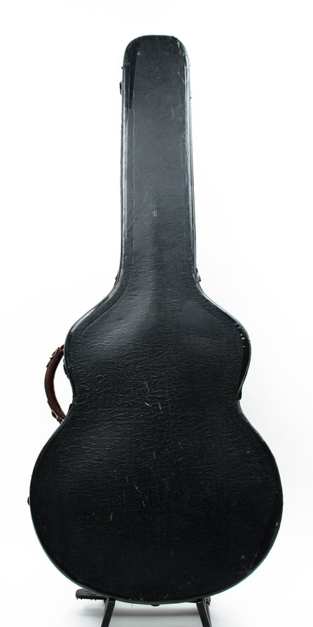 Lifton Archtop Case #1